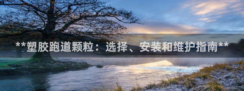 尊龙凯时电竞：**塑胶跑道颗粒：选择、安装和维护指南