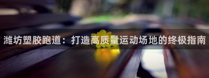 尊龙凯时人生就博官网登录：潍坊塑胶跑道：打造高质量运