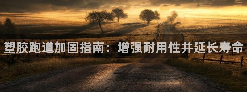 尊龙网址是选访问zd207：塑胶跑道加固指南：增强耐