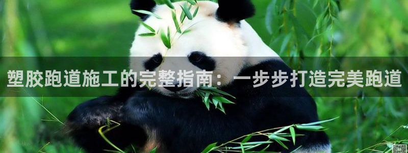 尊龙凯时 人生就是搏!平台：塑胶跑道施工的完整指南：