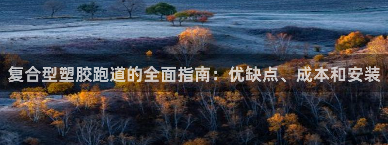 尊龙人生就是博管网：复合型塑胶跑道的全面指南：优缺点