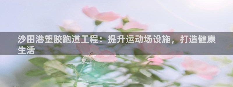 凯时效果怎么样：沙田港塑胶跑道工程：提升运动场设施，