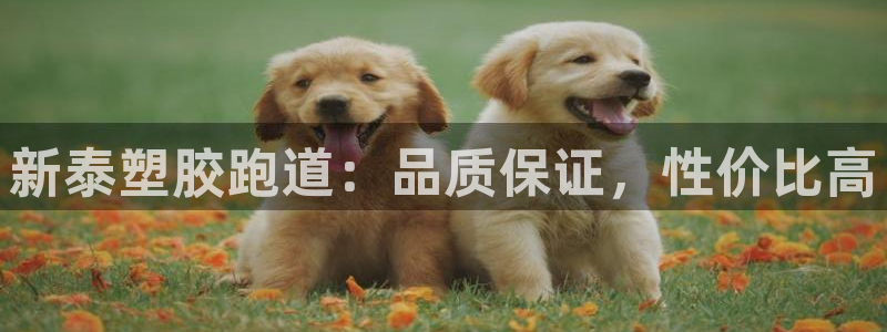 尊龙手机版：新泰塑胶跑道：品质保证，性价比高