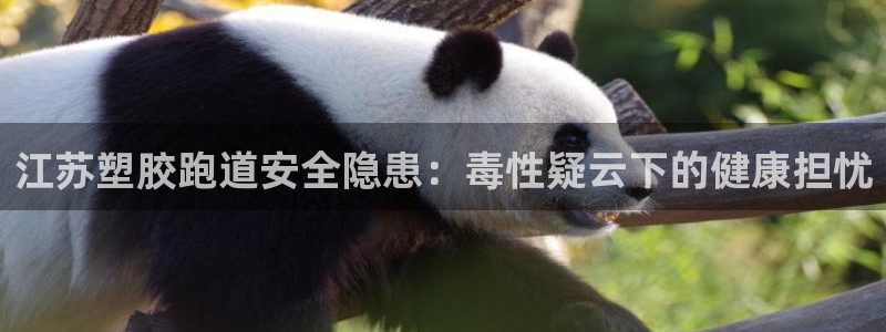 尊龙凯时代理官网入口：江苏塑胶跑道安全隐患：毒性疑云