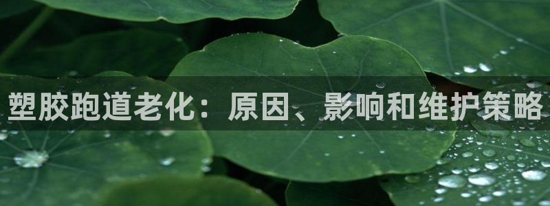 尊龙手机端下载：塑胶跑道老化：原因、影响和维护策略