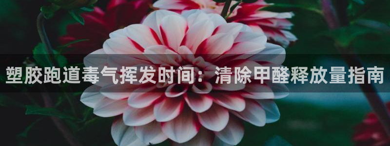 AG尊龙注册在线游戏：塑胶跑道毒气挥发时间：清除甲醛