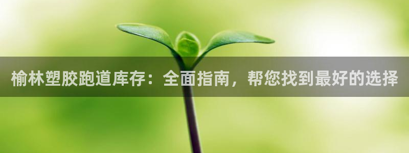 尊龙凯时游戏厅：榆林塑胶跑道库存：全面指南，帮您找到最好的选择