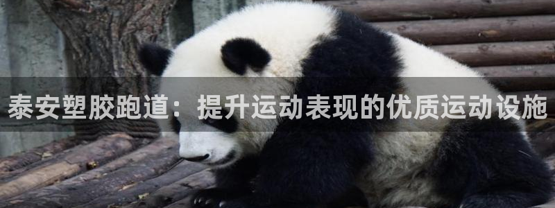 尊龙手机客户端app：泰安塑胶跑道：提升运动表现的优