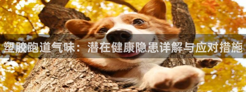 尊龙ag旗舰厅手机版：塑胶跑道气味：潜在健康隐患详解