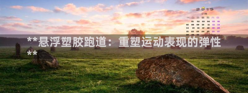 尊龙凯时账号异常审核提不了款怎么办：**悬浮塑胶跑道