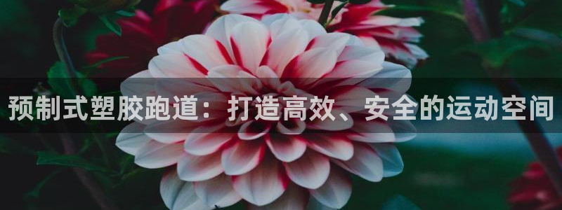 凯时网址多少：预制式塑胶跑道：打造高效、安全的运动空
