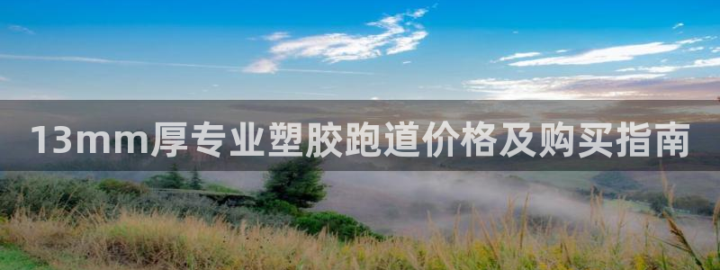 尊龙凯时ag旗舰厅官：13mm厚专业塑胶跑道价格及购
