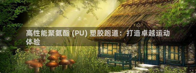 尊龙人生就是博旧版手机可靠送38元：高性能聚氨酯 (PU) 塑胶跑道：打造卓越运动
体验