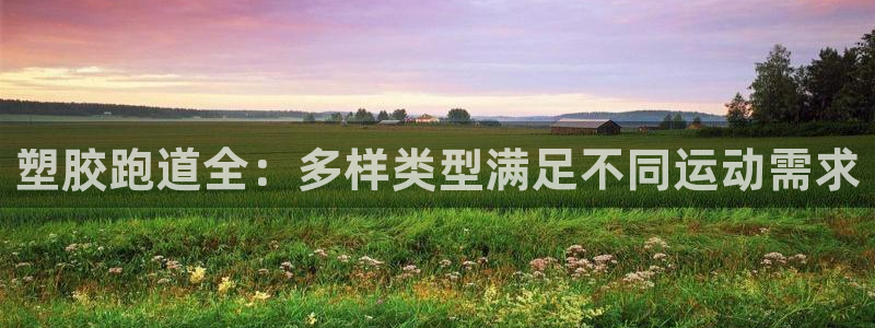 尊龙凯时取款24小时不到账：塑胶跑道全：多样类型满足