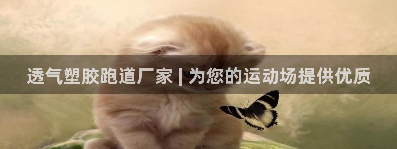 尊龙凯时百家乐手机下载：透气塑胶跑道厂家 | 为您的运动场提供优质