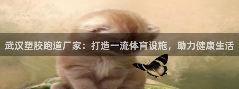 尊龙凯时取款一直支付中：武汉塑胶跑道厂家：打造一流体