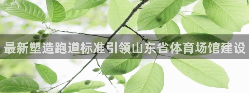 尊龙 国外：最新塑造跑道标准引领山东省体育场馆建设