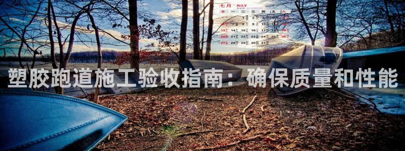 尊龙d88手机登录免费下载：塑胶跑道施工验收指南：确保质量和性能