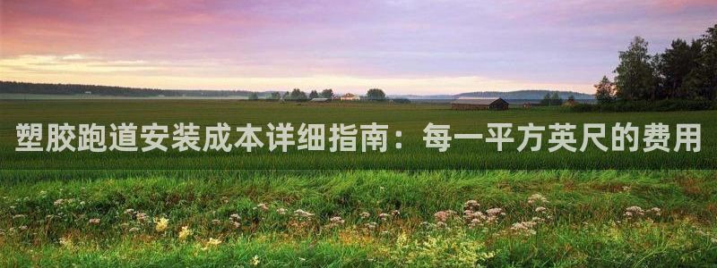 尊龙人生就是博现金：塑胶跑道安装成本详细指南：每一平