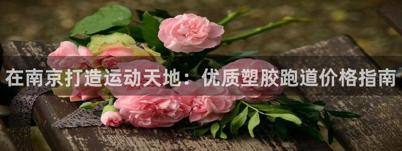 d88尊龙可靠送38元：在南京打造运动天地：优质塑胶
