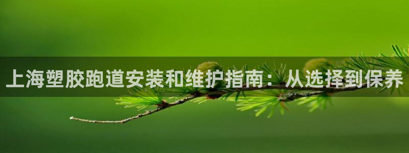 尊龙凯时注册地址：上海塑胶跑道安装和维护指南：从选择