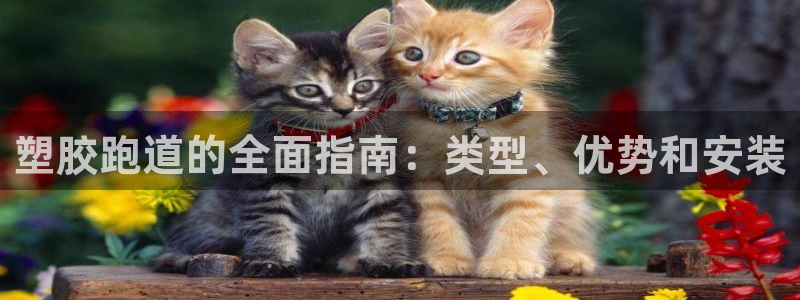 尊龙网址是选访问zd207：塑胶跑道的全面指南：类型、优势和安装