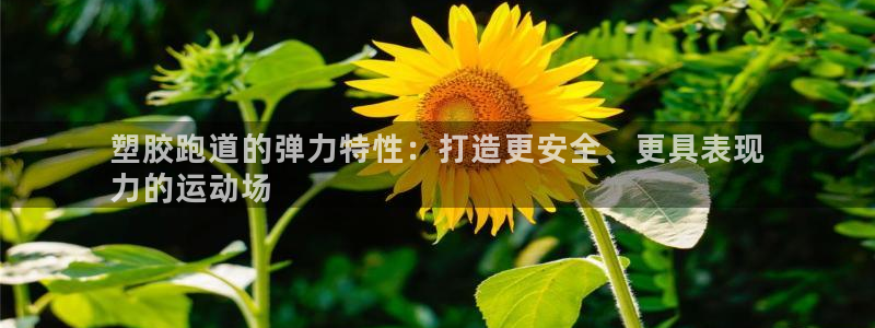 尊龙凯时 - 人生就是搏!提款怎么样：塑胶跑道的弹力