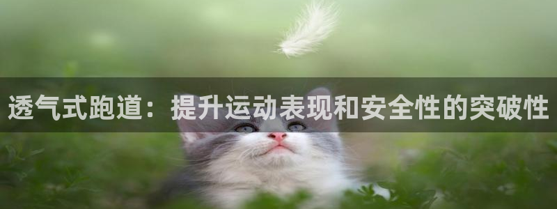 尊龙凯时防屏蔽网址：透气式跑道：提升运动表现和安全性的突破性