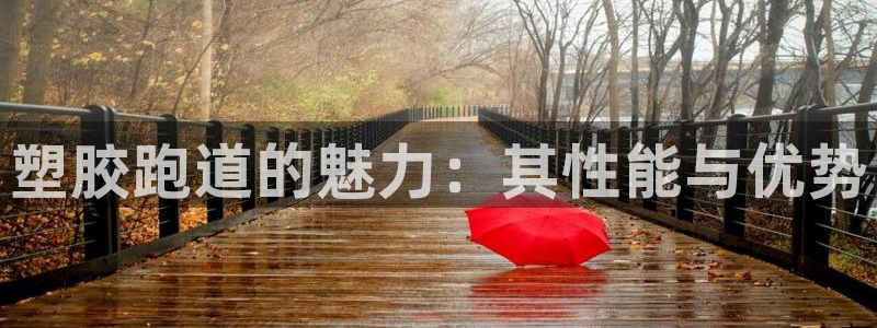 尊龙官方平台：塑胶跑道的魅力：其性能与优势
