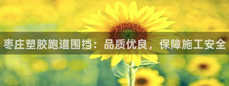 凯时AG网：枣庄塑胶跑道围挡：品质优良，保障施工安全