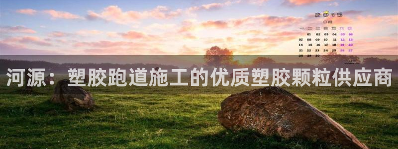 尊龙负面新闻：河源：塑胶跑道施工的优质塑胶颗粒供应商