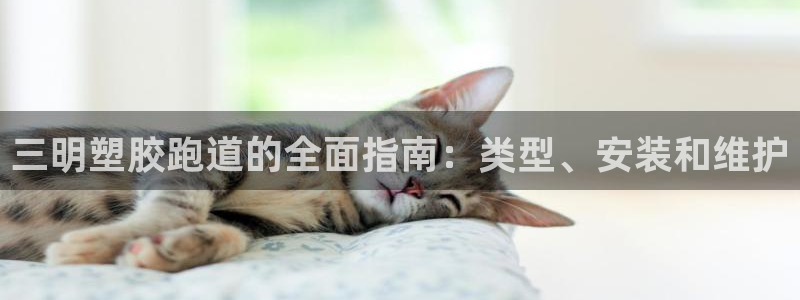 尊龙凯时网站登录：三明塑胶跑道的全面指南：类型、安装