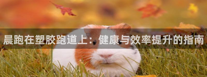 尊龙官网手：晨跑在塑胶跑道上：健康与效率提升的指南
