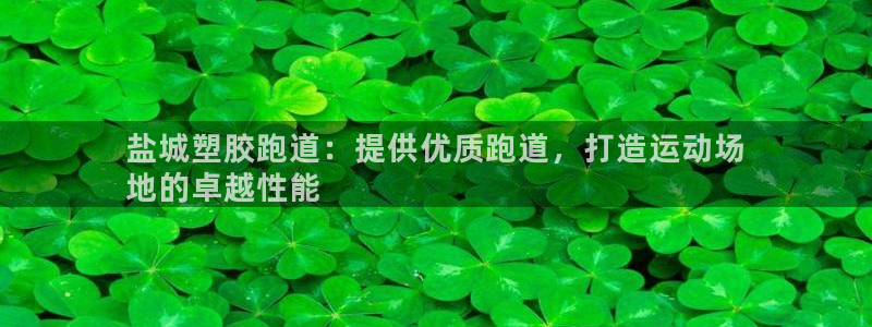 香港尊龙：盐城塑胶跑道：提供优质跑道，打造运动场
地