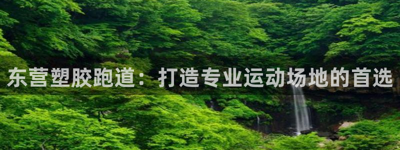 尊龙凯时邀请码：东营塑胶跑道：打造专业运动场地的首选