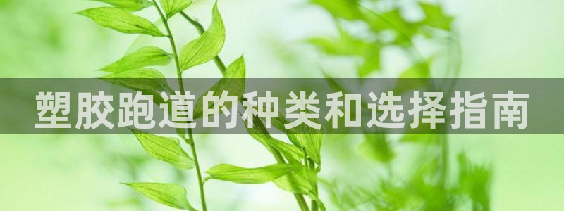 尊龙多少岁：塑胶跑道的种类和选择指南