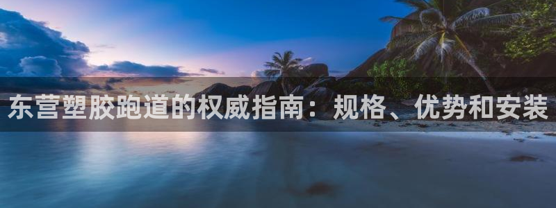 ag尊龙凯时官网：东营塑胶跑道的权威指南：规格、优势和安装