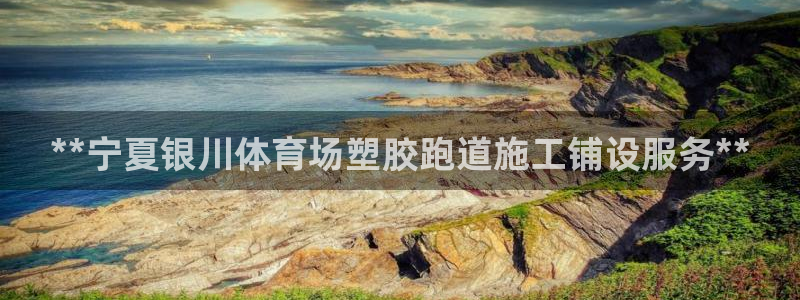 尊龙公司：**宁夏银川体育场塑胶跑道施工铺设服务**