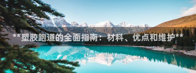 尊龙凯时白家乐Abb下载：**塑胶跑道的全面指南：材料、优点和维护**