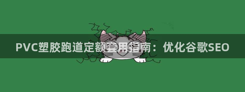 尊龙app怎么样：PVC塑胶跑道定额套用指南：优化谷歌SEO