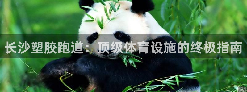 尊龙凯时官方网站