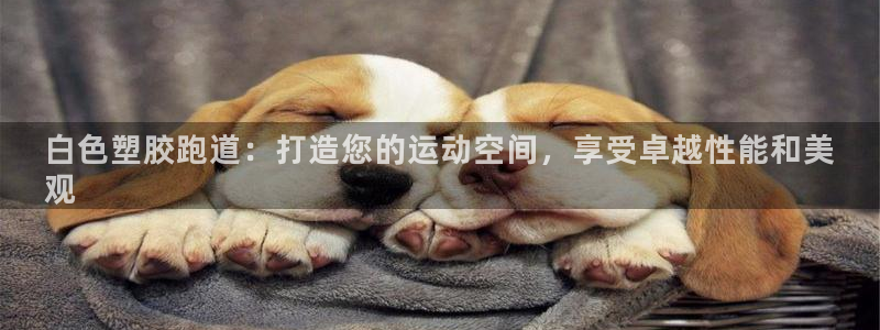 尊龙饰演过的经典角色：白色塑胶跑道：打造您的运动空间