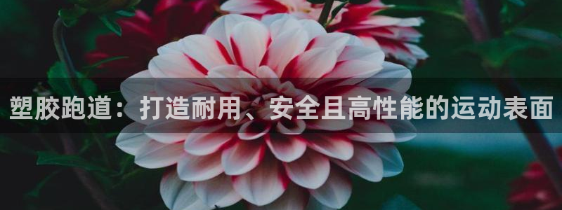 凯时app官网首页：塑胶跑道：打造耐用、安全且高性能