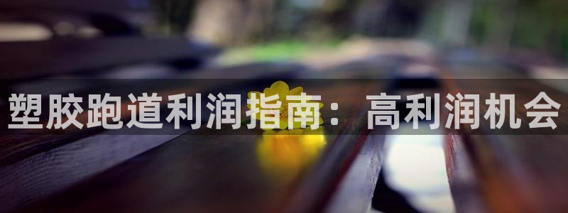 尊龙凯时提款一直审核中：塑胶跑道利润指南：高利润机会