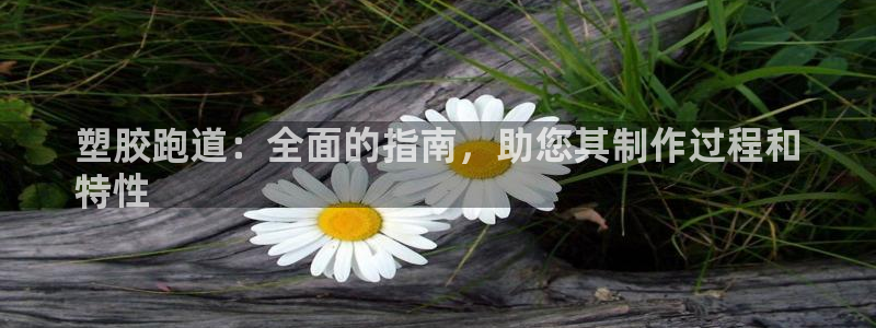 d88尊龙可靠送38元：塑胶跑道：全面的指南，助您其制作过程和
特性