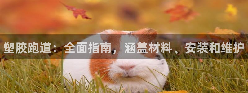 尊龙人生就是博i可靠吗：塑胶跑道：全面指南，涵盖材料、安装和维护