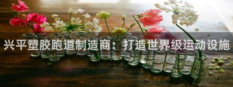尊龙凯时贴吧：兴平塑胶跑道制造商：打造世界级运动设施