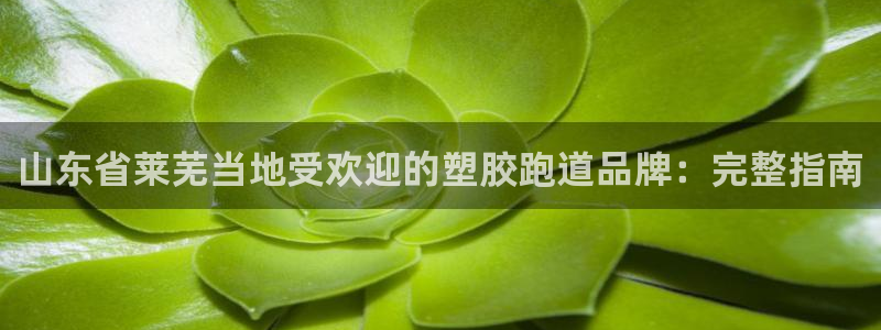 尊龙人生就是博首页：山东省莱芜当地受欢迎的塑胶跑道品牌：完整指南