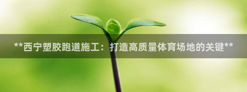 尊龙d88官网确来就送38：**西宁塑胶跑道施工：打造高质量体育场地的关键**
