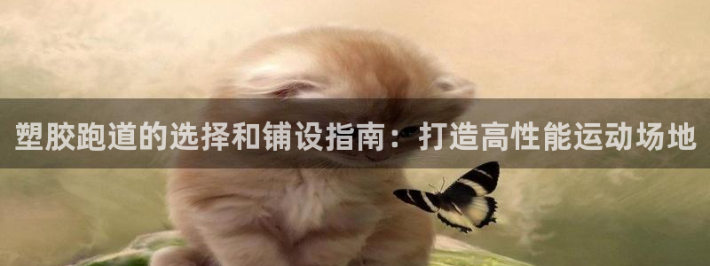 尊龙人生就是博网站下载：塑胶跑道的选择和铺设指南：打造高性能运动场地